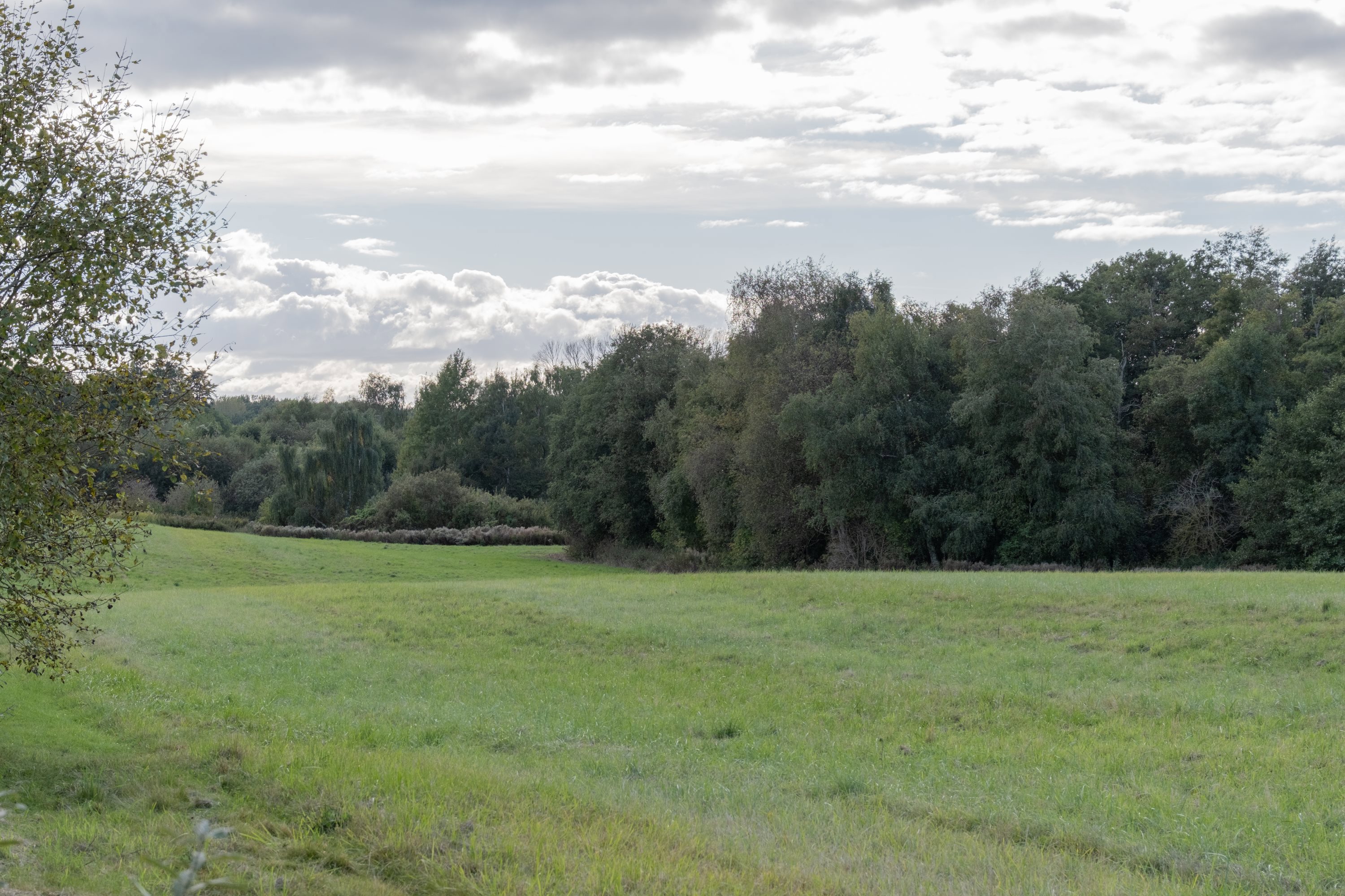 Flintevej 9, 2980 Kokkedal