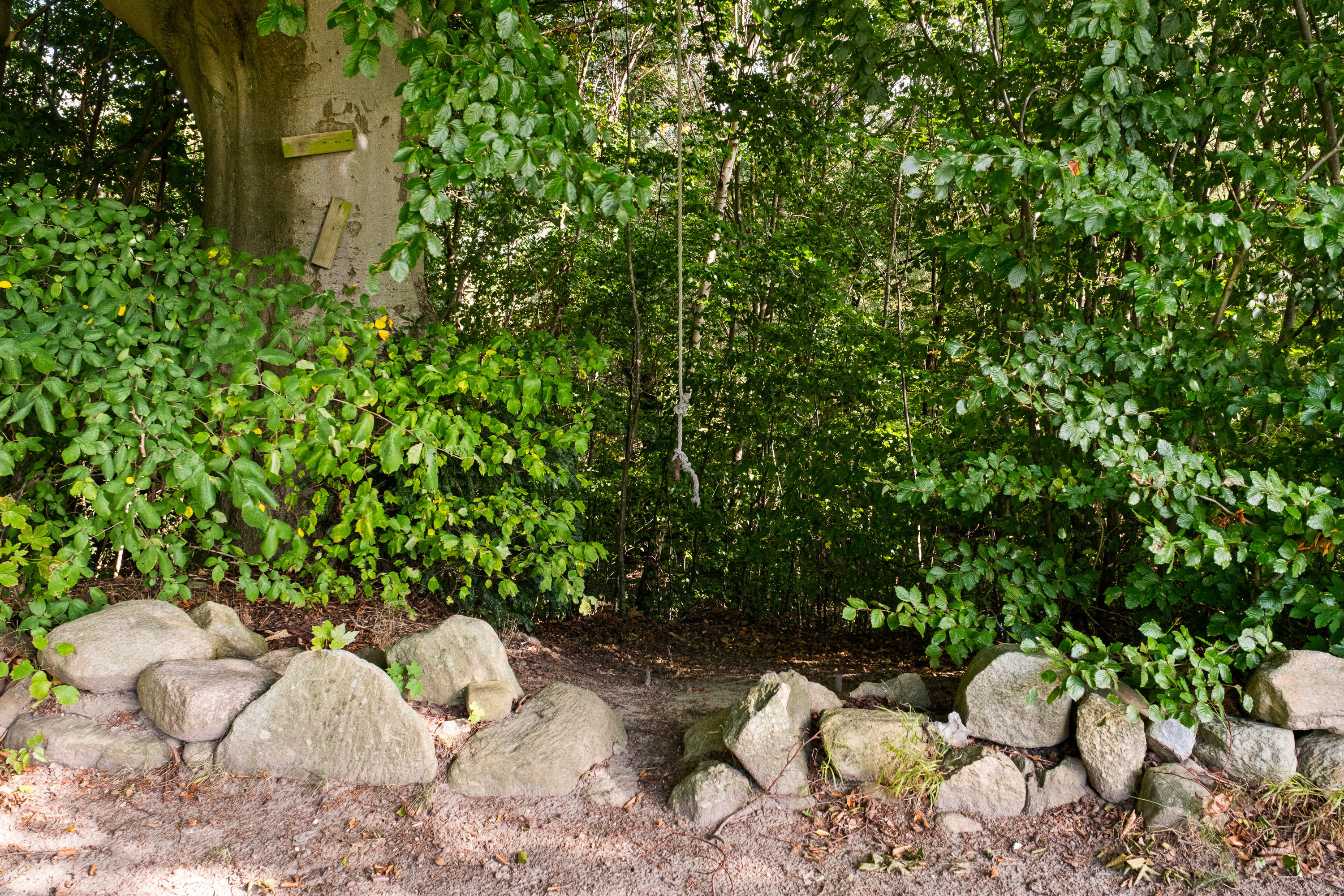 Brådebæksvej 24C, 2970 Hørsholm