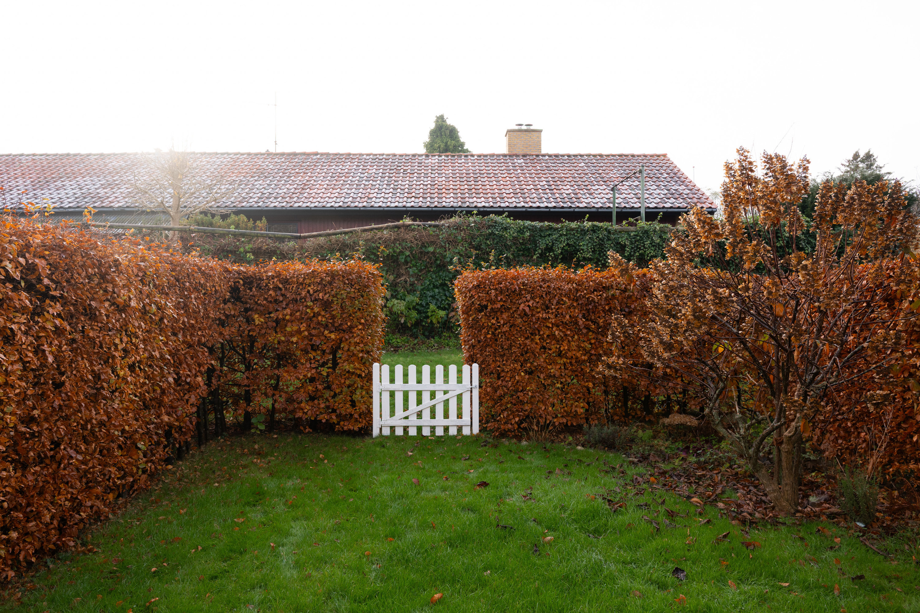 Diskret sag , 2800 Kongens Lyngby