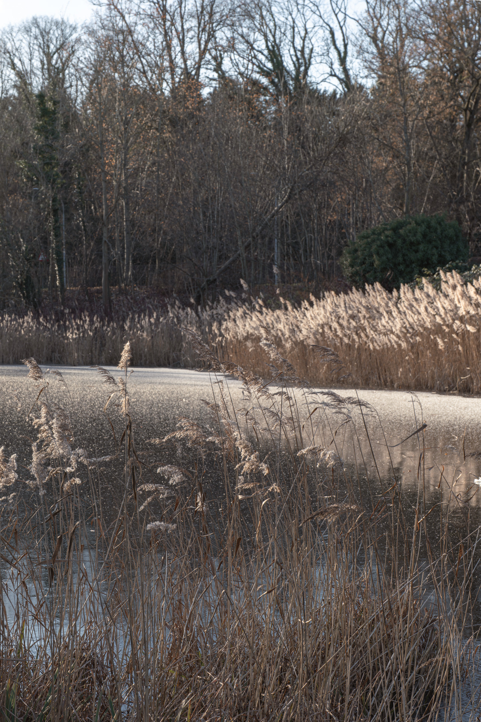 Vintappervej 6, 1., 2800 Kongens Lyngby