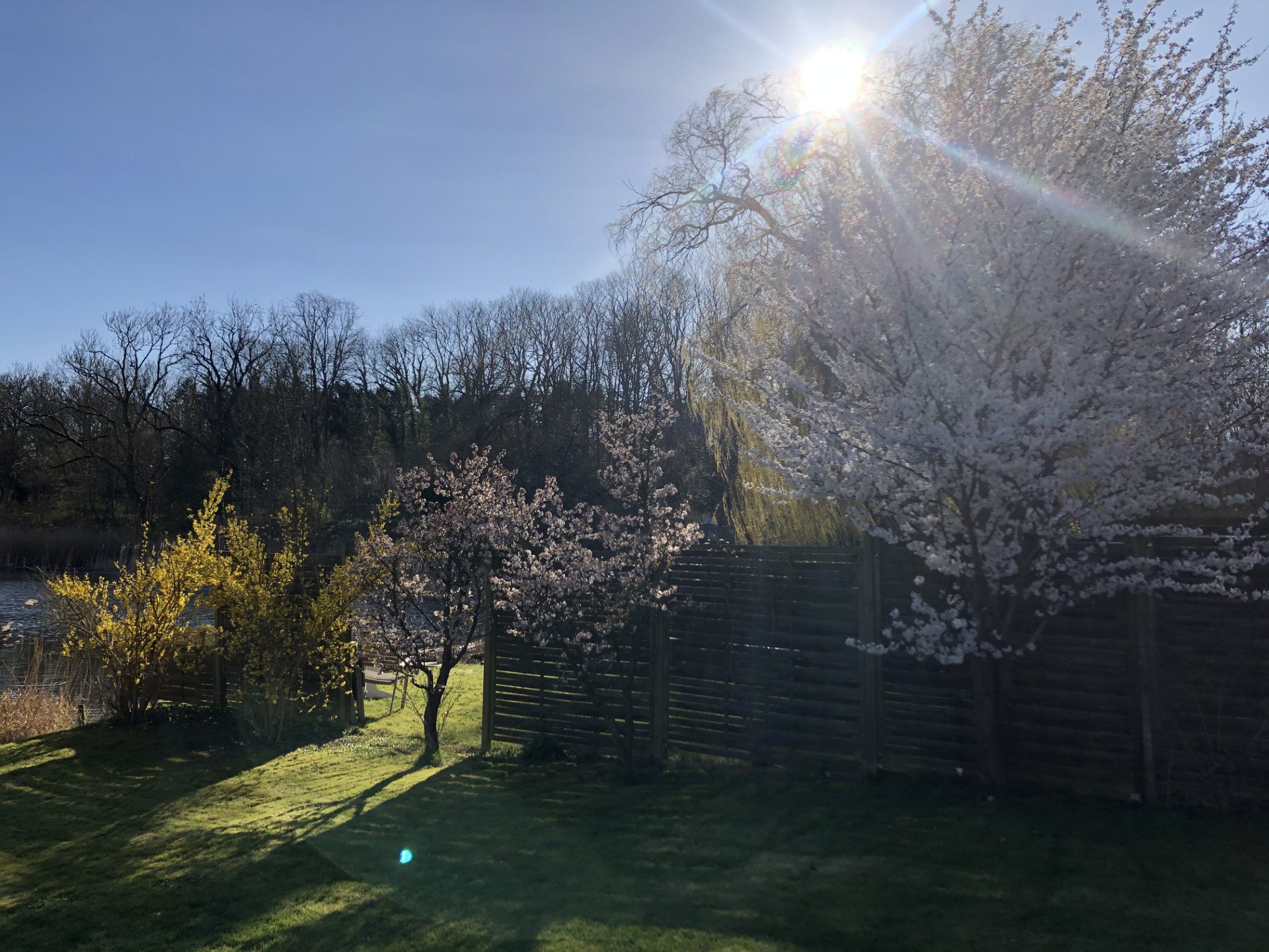 Vintappervej 6, 1., 2800 Kongens Lyngby