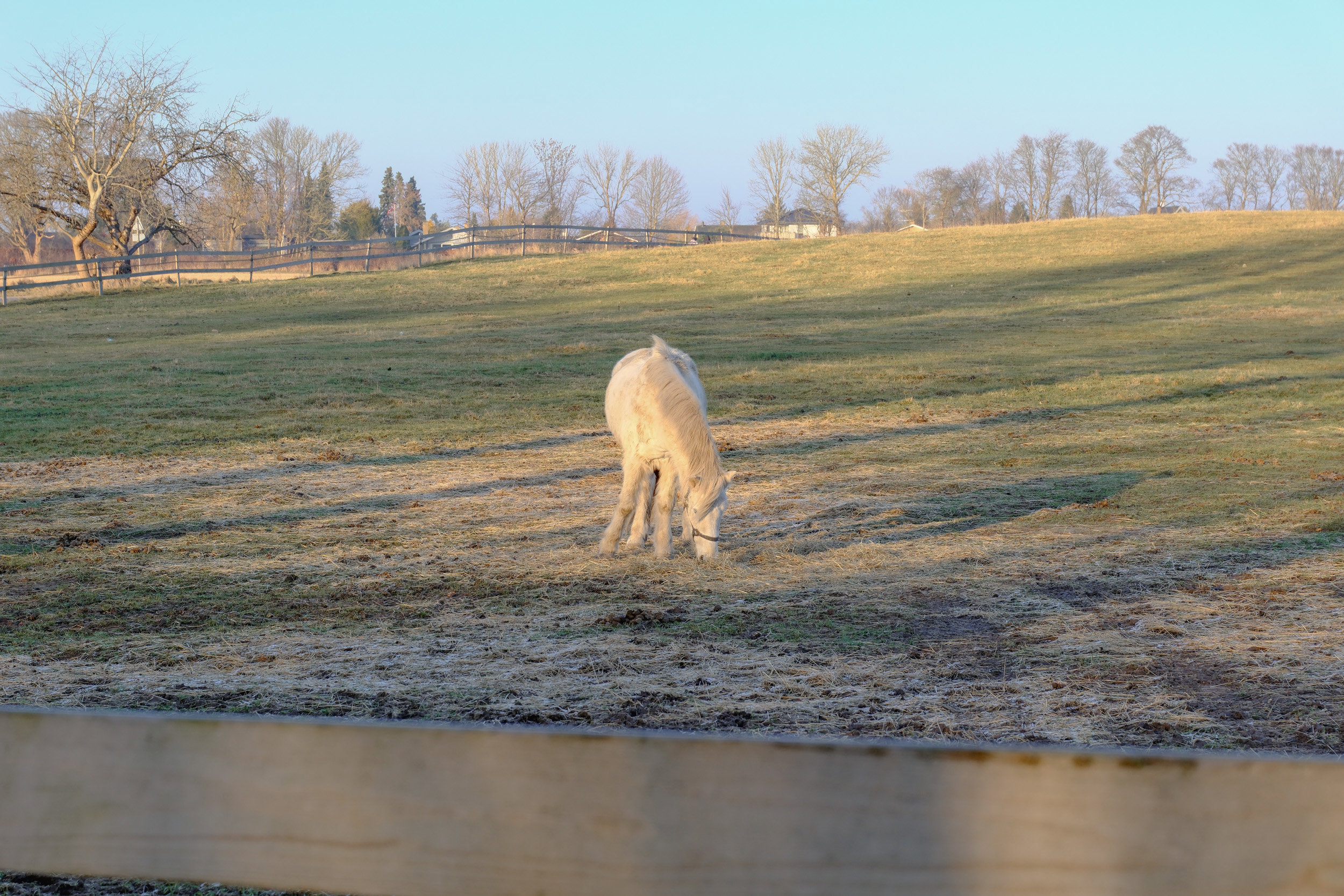Kongestien 30, 2830 Virum