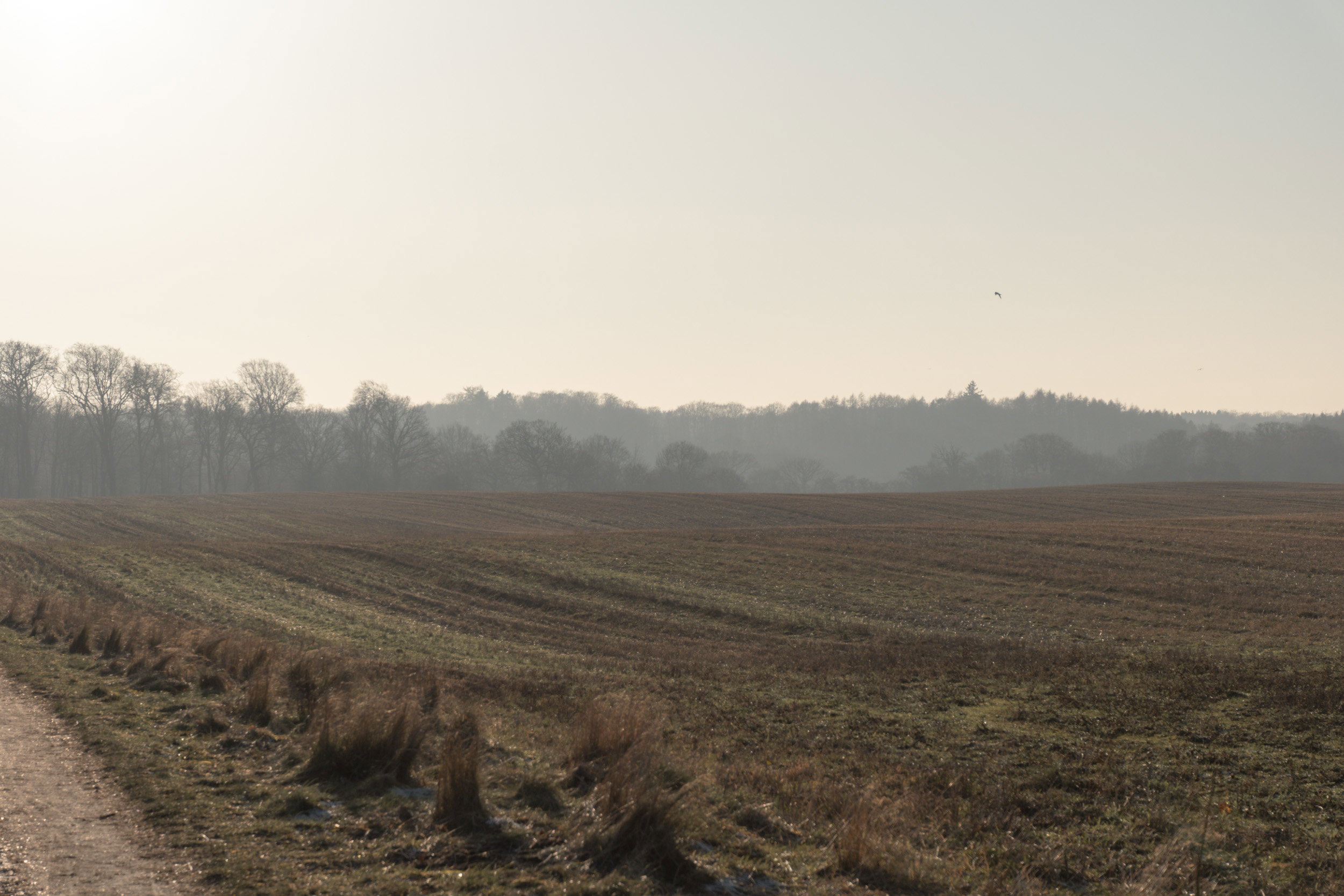 Kongestien 30, 2830 Virum