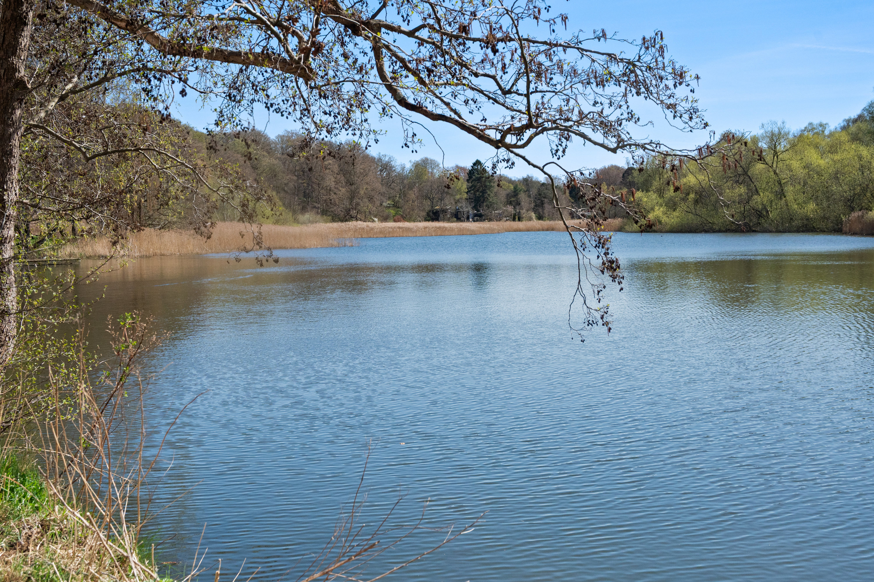 Diskret sag , 2830 Virum