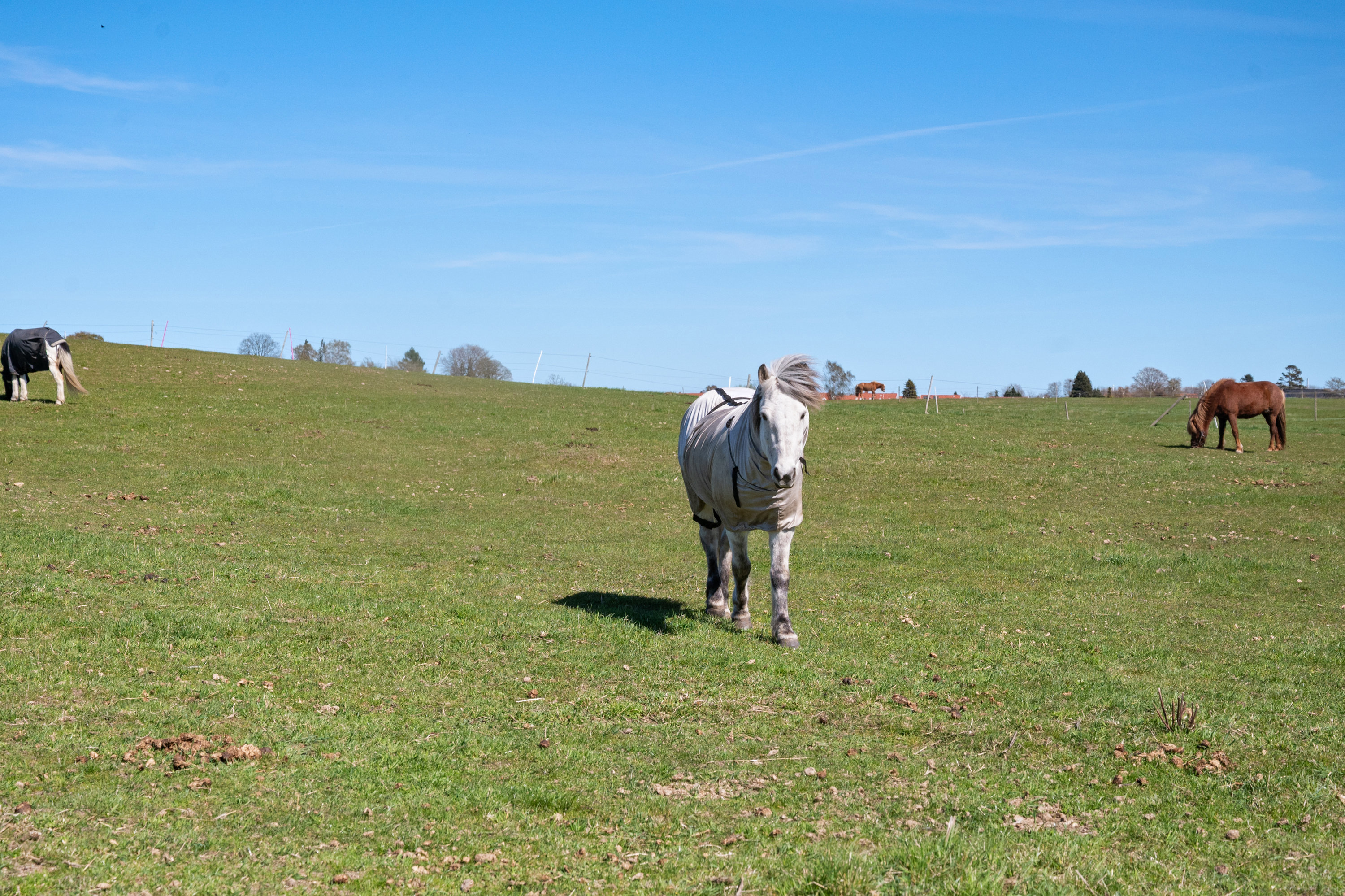 Diskret sag , 2830 Virum