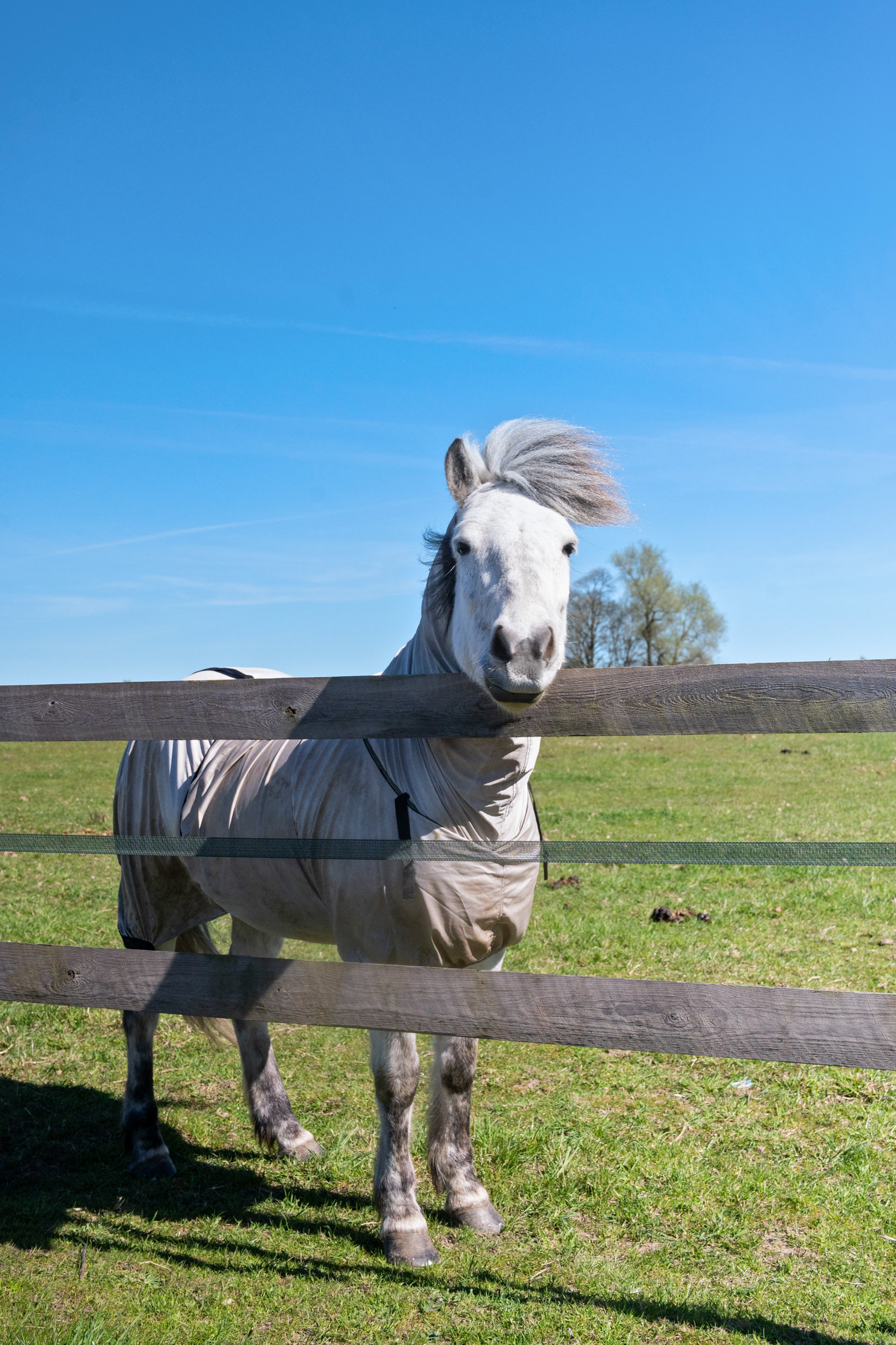 Diskret sag , 2830 Virum